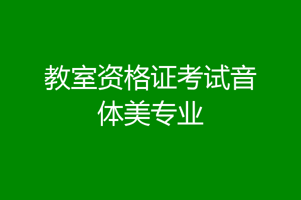 教室资格证考试音体美专业