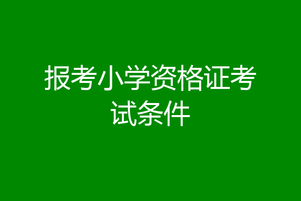 报考小学资格证考试条件