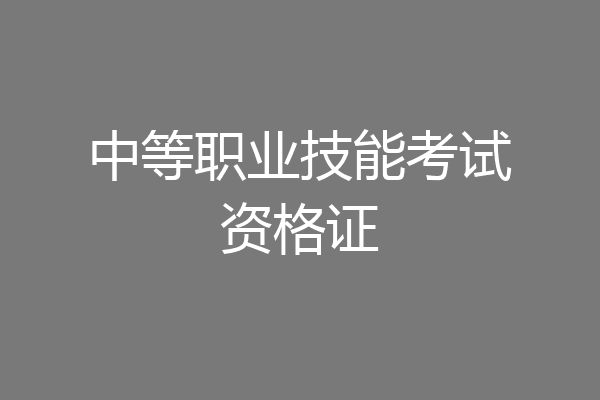 中等职业技能考试资格证