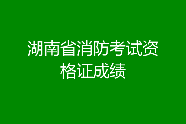 湖南省消防考试资格证成绩