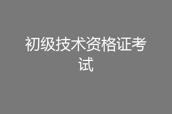 初级技术资格证考试