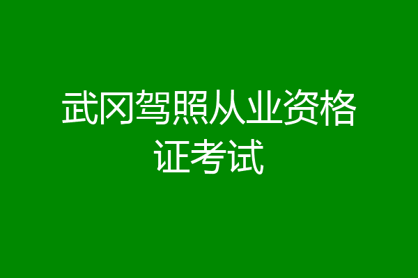 武冈驾照从业资格证考试