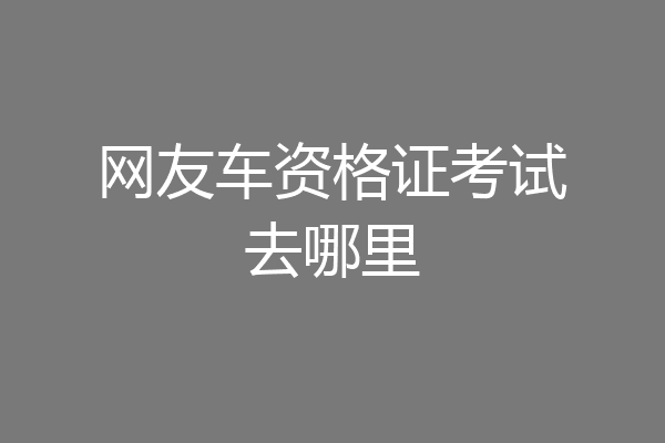 网友车资格证考试去哪里