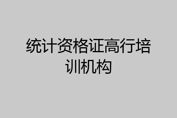 统计资格证高行培训机构