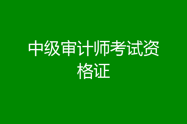 中级审计师考试资格证