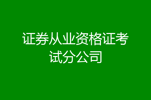 证券从业资格证考试分公司