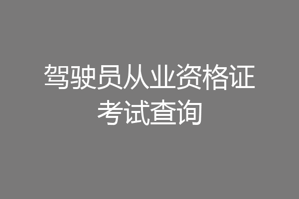 驾驶员从业资格证考试查询