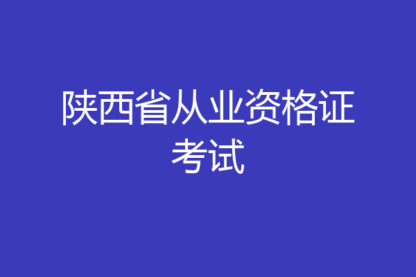 陕西省从业资格证考试