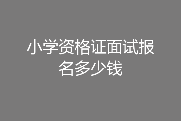 小学资格证面试报名多少钱