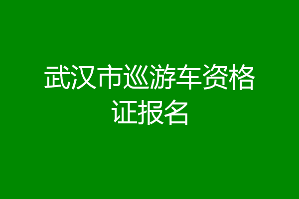 武汉市巡游车资格证报名