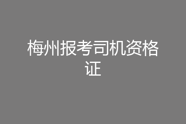梅州报考司机资格证