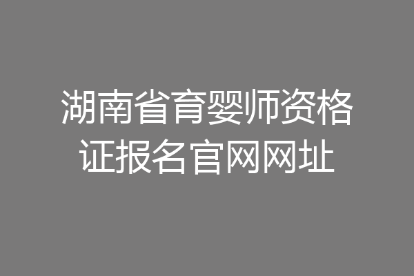 湖南省育婴师资格证报名官网网址