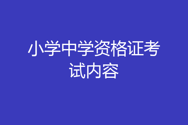 小学中学资格证考试内容