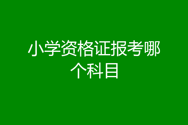 小学资格证报考哪个科目