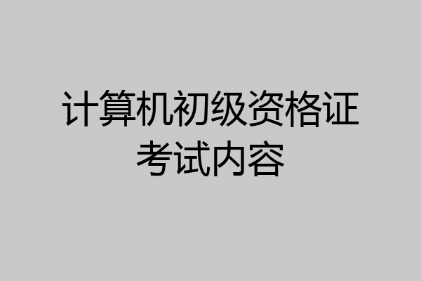 计算机初级资格证考试内容