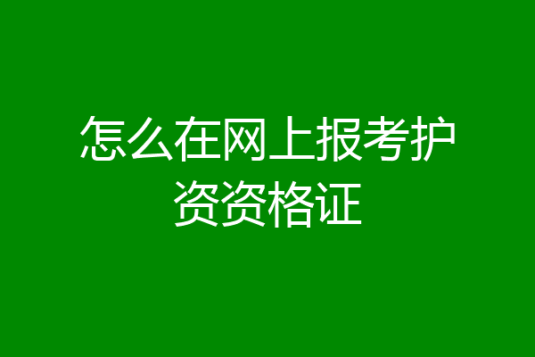 怎么在网上报考护资资格证