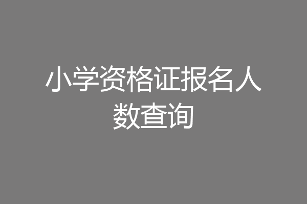 小学资格证报名人数查询