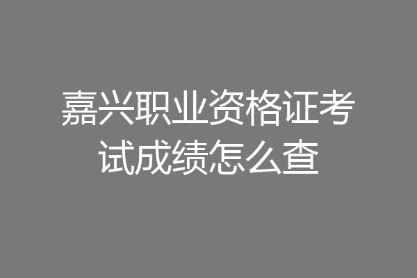 嘉兴职业资格证考试成绩怎么查