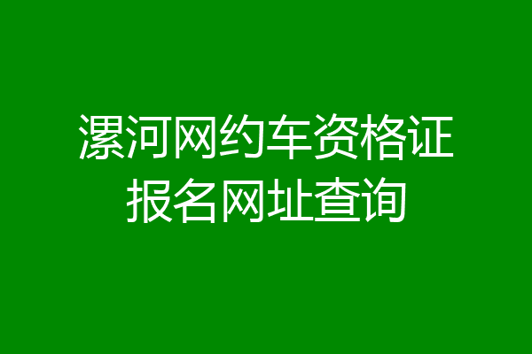 漯河网约车资格证报名网址查询