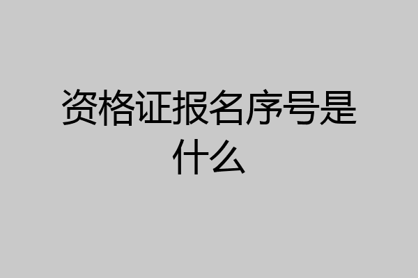 资格证报名序号是什么