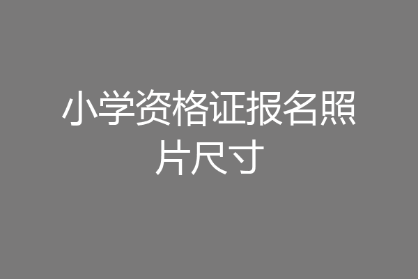 小学资格证报名照片尺寸