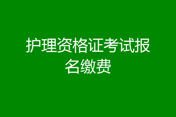 护理资格证考试报名缴费