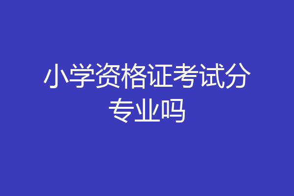 小学资格证考试分专业吗