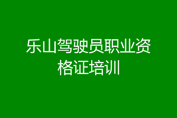 乐山驾驶员职业资格证培训