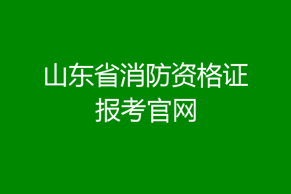 山东省消防资格证报考官网