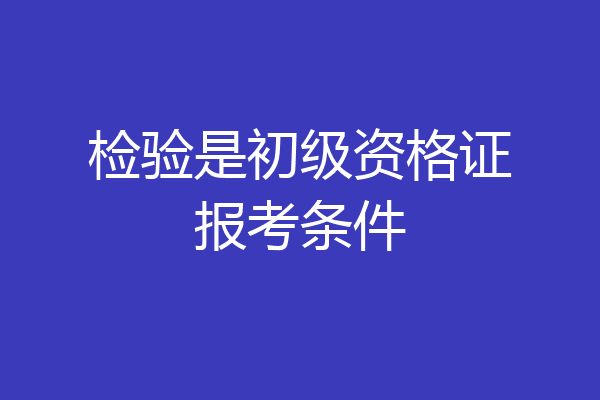 检验是初级资格证报考条件