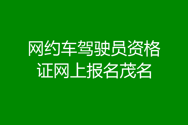 网约车驾驶员资格证网上报名茂名