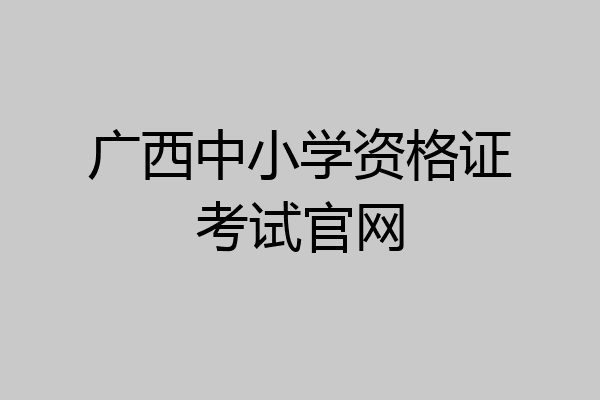 广西中小学资格证考试官网