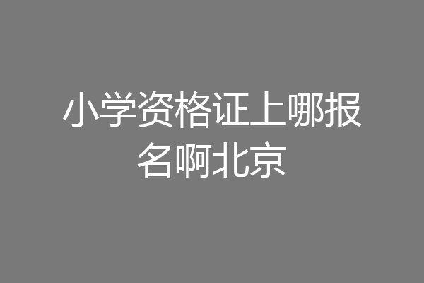 小学资格证上哪报名啊北京
