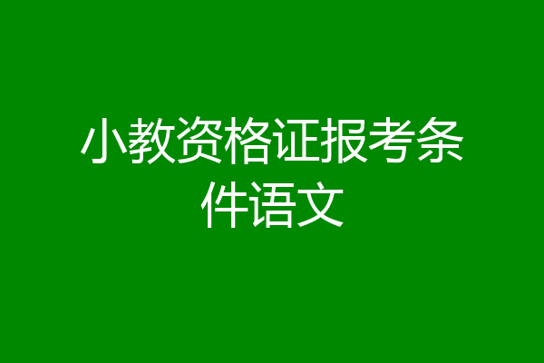 小教资格证报考条件语文