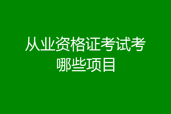 从业资格证考试考哪些项目