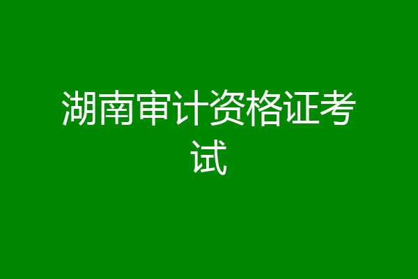 湖南审计资格证考试