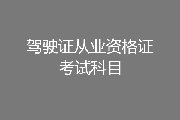 驾驶证从业资格证考试科目
