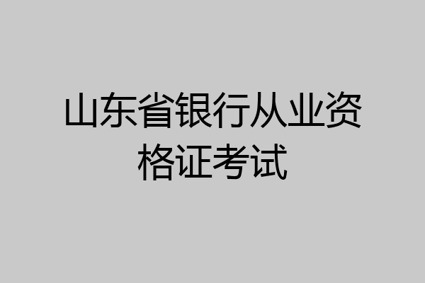山东省银行从业资格证考试