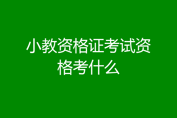 小教资格证考试资格考什么