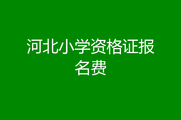 河北小学资格证报名费