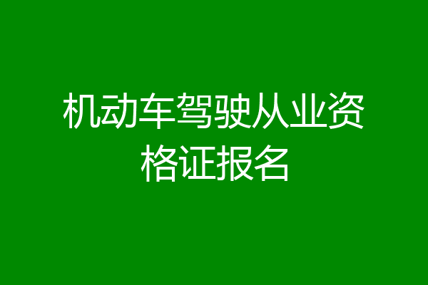 机动车驾驶从业资格证报名