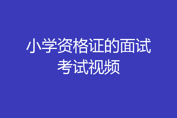 小学资格证的面试考试视频