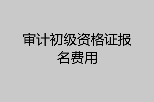 审计初级资格证报名费用