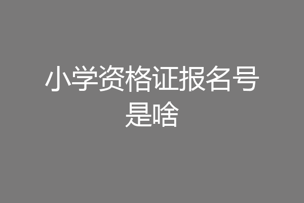 小学资格证报名号是啥