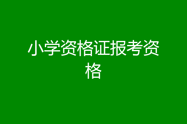 小学资格证报考资格