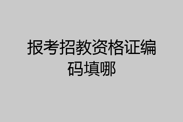 报考招教资格证编码填哪