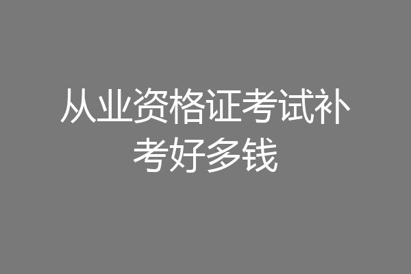 从业资格证考试补考好多钱