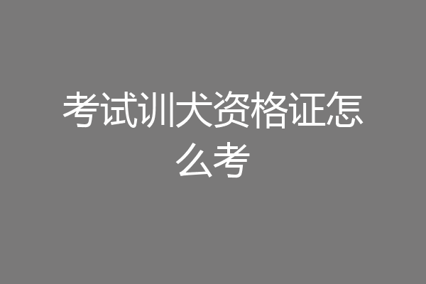 考试训犬资格证怎么考