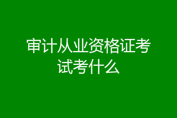 审计从业资格证考试考什么