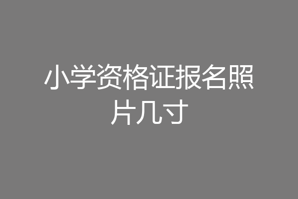 小学资格证报名照片几寸